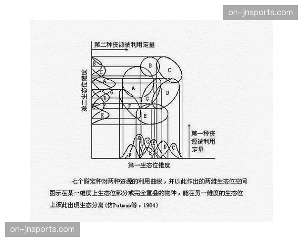 本轮转型核心在于连接能力 生态位价值重新定义